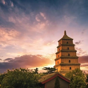 在西安择业，哪个行业的发展前景比较好？